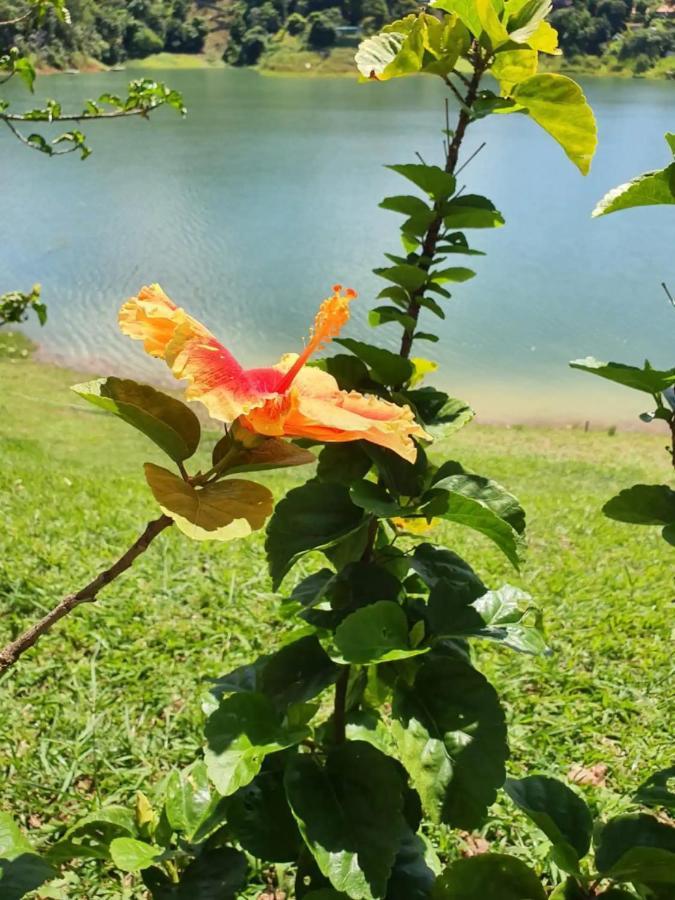 Vila Maravilhoso Sitio Na Beira Da Represa Igaratá Exteriér fotografie